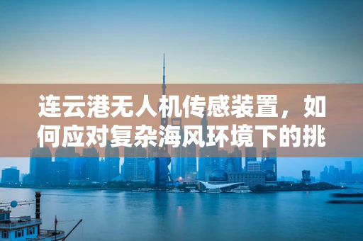 连云港无人机传感装置，如何应对复杂海风环境下的挑战？