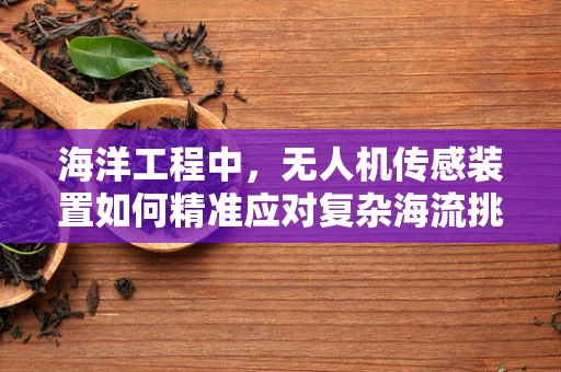 海洋工程中，无人机传感装置如何精准应对复杂海流挑战？