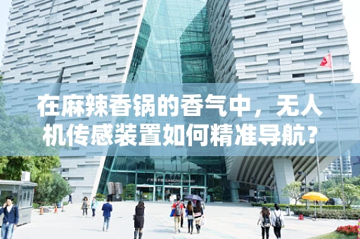 在麻辣香锅的香气中，无人机传感装置如何精准导航？