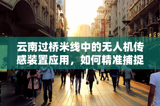 云南过桥米线中的无人机传感装置应用，如何精准捕捉食材新鲜度？
