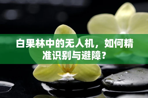 白果林中的无人机，如何精准识别与避障？