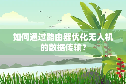 如何通过路由器优化无人机的数据传输？