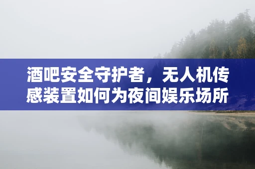 酒吧安全守护者，无人机传感装置如何为夜间娱乐场所保驾护航？