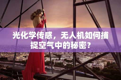 光化学传感，无人机如何捕捉空气中的秘密？