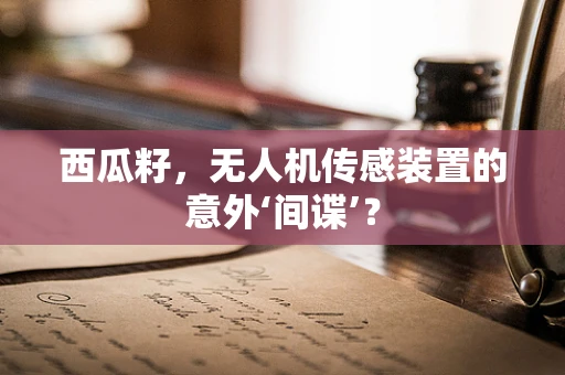 西瓜籽，无人机传感装置的意外‘间谍’？