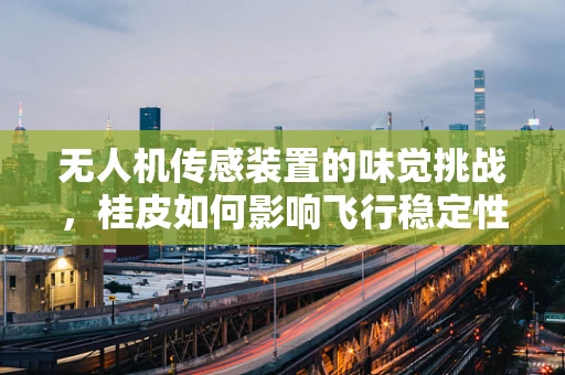 无人机传感装置的味觉挑战，桂皮如何影响飞行稳定性？
