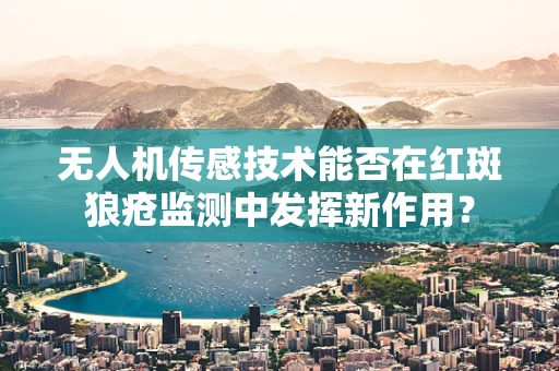 无人机传感技术能否在红斑狼疮监测中发挥新作用？