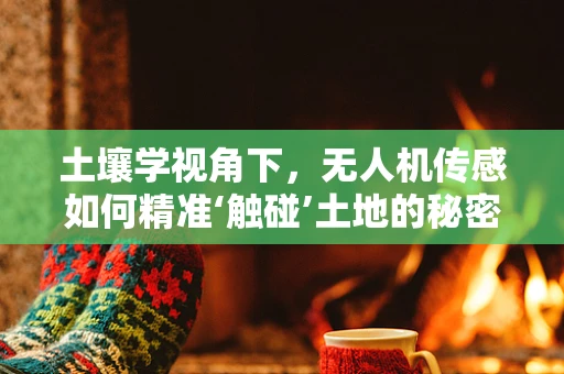 土壤学视角下，无人机传感如何精准‘触碰’土地的秘密？