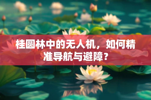 桂圆林中的无人机，如何精准导航与避障？