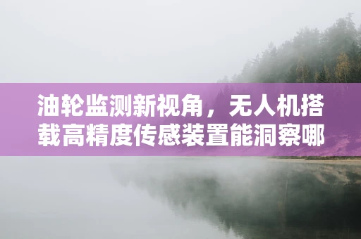 油轮监测新视角，无人机搭载高精度传感装置能洞察哪些隐秘？