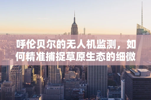 呼伦贝尔的无人机监测，如何精准捕捉草原生态的细微变化？