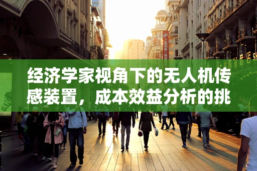 经济学家视角下的无人机传感装置，成本效益分析的挑战与机遇
