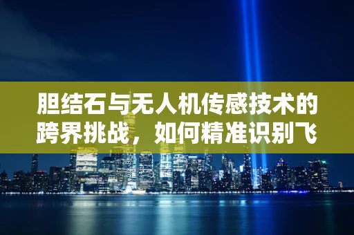 胆结石与无人机传感技术的跨界挑战，如何精准识别飞行中的结石隐患？