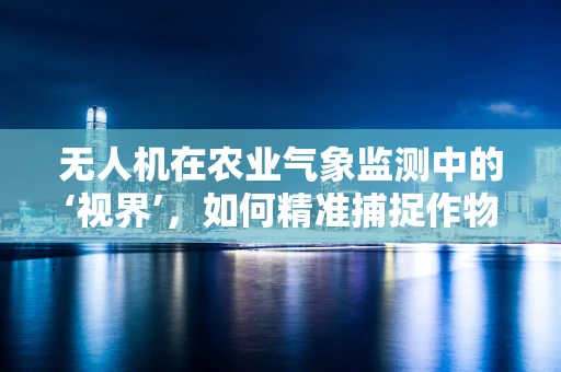 无人机在农业气象监测中的‘视界’，如何精准捕捉作物生长的‘呼吸’？