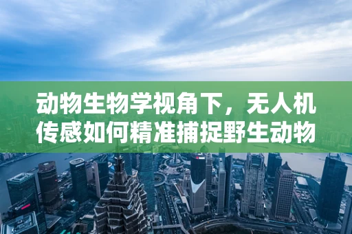 动物生物学视角下，无人机传感如何精准捕捉野生动物行为？