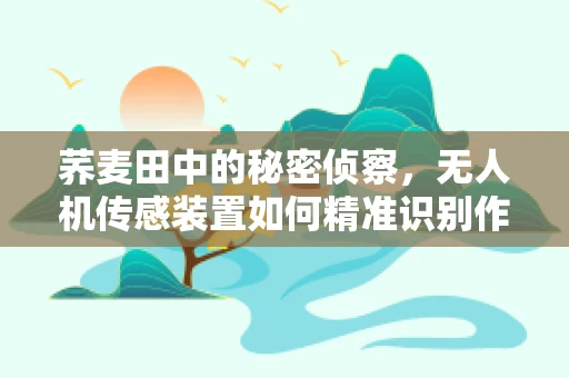 荞麦田中的秘密侦察，无人机传感装置如何精准识别作物健康？