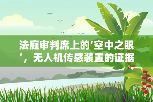 法庭审判席上的‘空中之眼’，无人机传感装置的证据效力与隐私边界