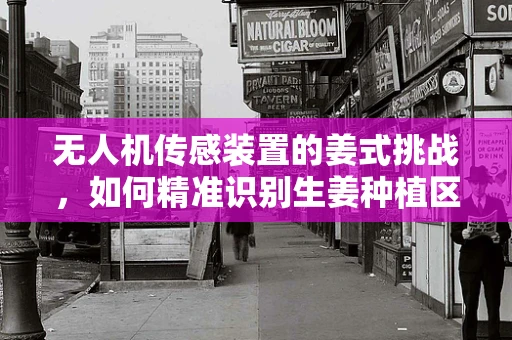 无人机传感装置的姜式挑战，如何精准识别生姜种植区的环境变化？