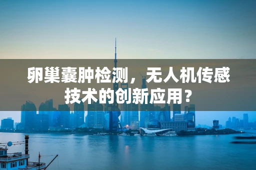 卵巢囊肿检测，无人机传感技术的创新应用？