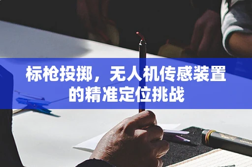 标枪投掷，无人机传感装置的精准定位挑战