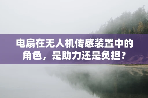 电扇在无人机传感装置中的角色，是助力还是负担？