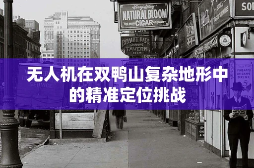 无人机在双鸭山复杂地形中的精准定位挑战