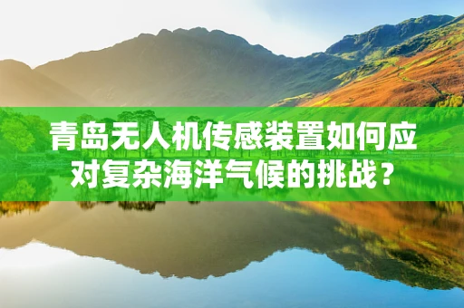 青岛无人机传感装置如何应对复杂海洋气候的挑战？