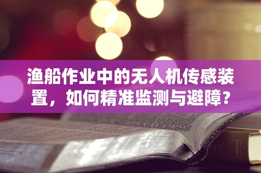 渔船作业中的无人机传感装置，如何精准监测与避障？