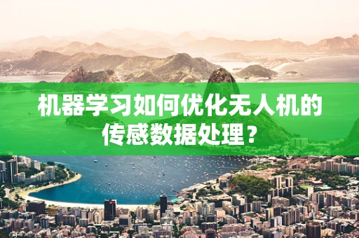 机器学习如何优化无人机的传感数据处理？