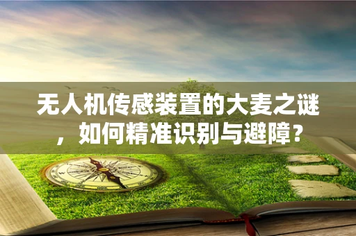 无人机传感装置的大麦之谜，如何精准识别与避障？