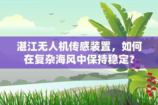 湛江无人机传感装置，如何在复杂海风中保持稳定？