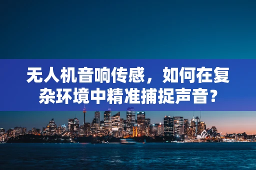 无人机音响传感，如何在复杂环境中精准捕捉声音？