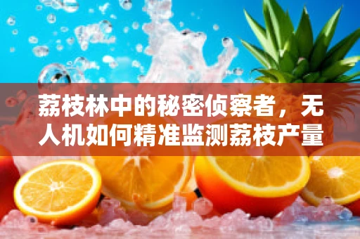 荔枝林中的秘密侦察者，无人机如何精准监测荔枝产量？
