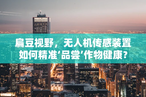 扁豆视野，无人机传感装置如何精准‘品尝’作物健康？