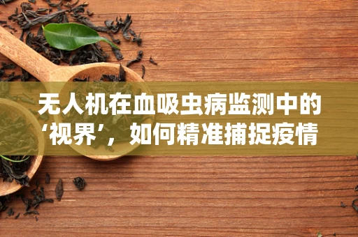 无人机在血吸虫病监测中的‘视界’，如何精准捕捉疫情‘蛛丝马迹’？