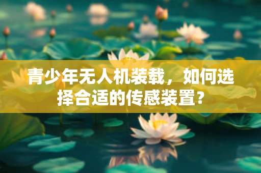 青少年无人机装载，如何选择合适的传感装置？