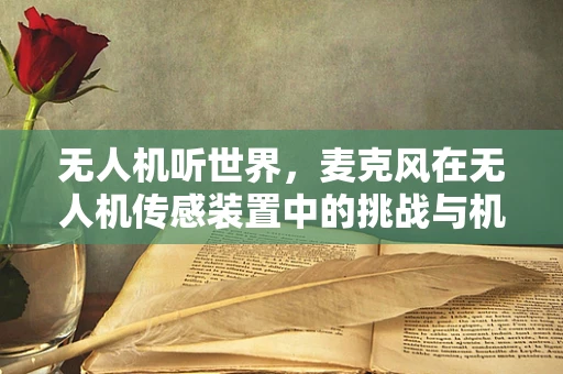 无人机听世界，麦克风在无人机传感装置中的挑战与机遇？