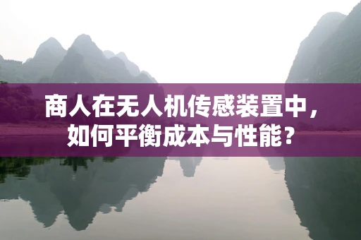 商人在无人机传感装置中，如何平衡成本与性能？