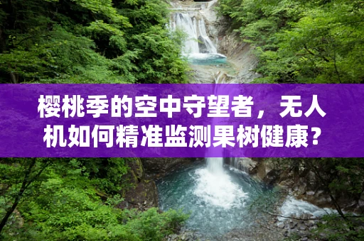樱桃季的空中守望者，无人机如何精准监测果树健康？