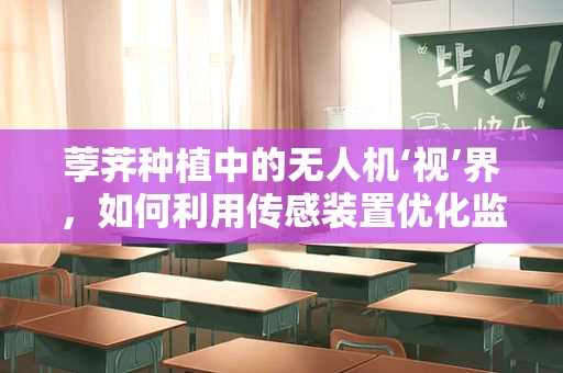 荸荠种植中的无人机‘视’界，如何利用传感装置优化监测？