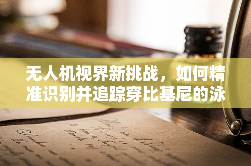 无人机视界新挑战，如何精准识别并追踪穿比基尼的泳者？