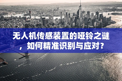 无人机传感装置的哑铃之谜，如何精准识别与应对？