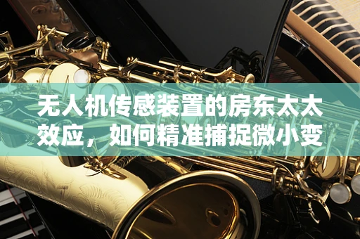 无人机传感装置的房东太太效应，如何精准捕捉微小变化？