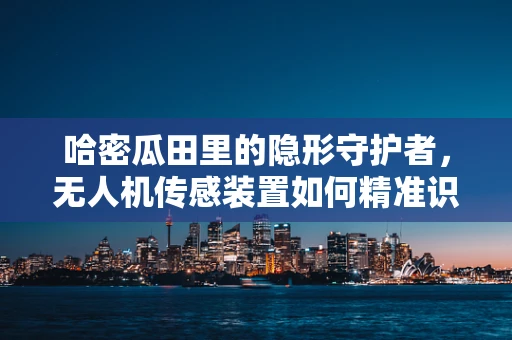 哈密瓜田里的隐形守护者，无人机传感装置如何精准识别？