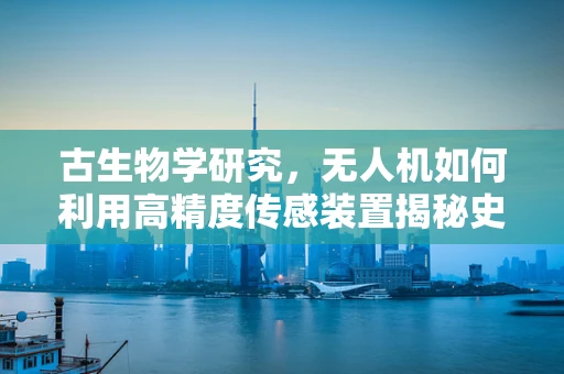 古生物学研究，无人机如何利用高精度传感装置揭秘史前秘密？