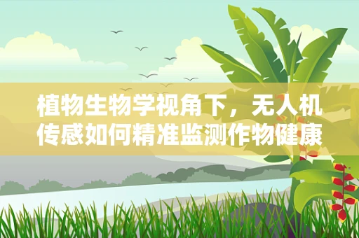 植物生物学视角下，无人机传感如何精准监测作物健康？