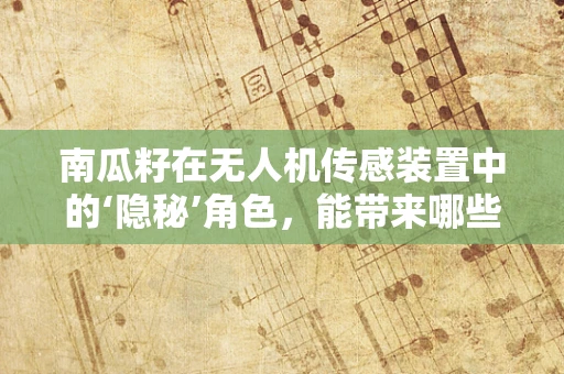 南瓜籽在无人机传感装置中的‘隐秘’角色，能带来哪些创新应用？