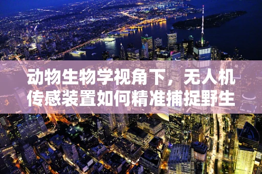 动物生物学视角下，无人机传感装置如何精准捕捉野生动物行为？