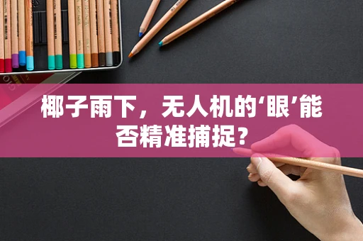 椰子雨下，无人机的‘眼’能否精准捕捉？