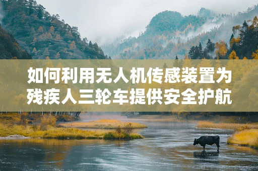 如何利用无人机传感装置为残疾人三轮车提供安全护航？